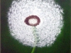 19_blumen