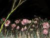 PHOTO-2024-03-07-00-12-48-2