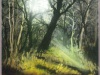 01_landschaften